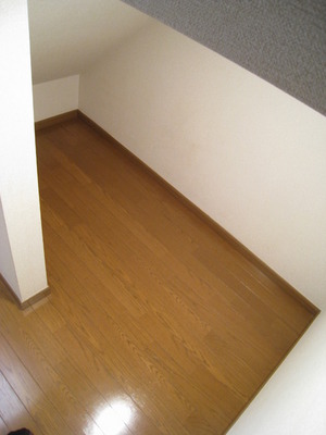 Receipt. Storage space under the stairs