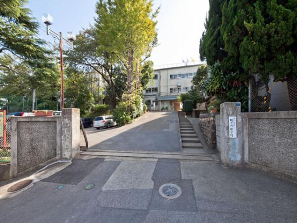 Junior high school. Hatogaya 1100m until junior high school
