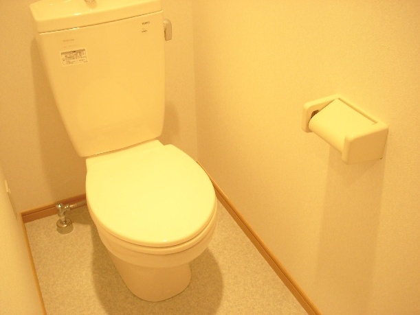 Toilet. Water around has become beautiful. 