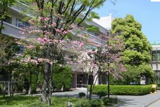high school ・ College. Kawaguchi Tachikawa opening high school (high school ・ NCT) to 1423m