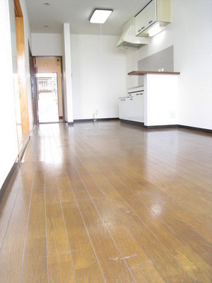 Living and room. Living 11 Pledge