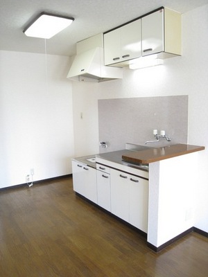 Kitchen. Kitchen gas stove can be installed