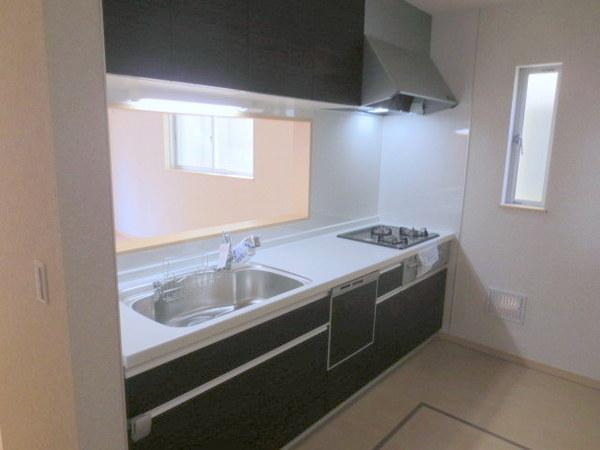 Kitchen. Popular face-to-face kitchen