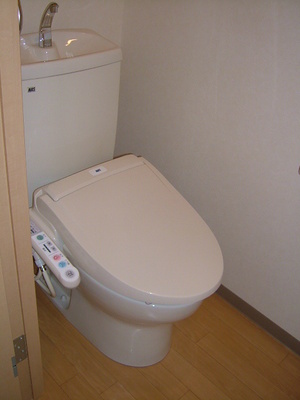 Toilet