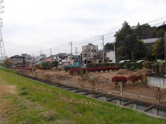 Local land photo. Local Photos