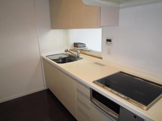Kitchen. Indoor (11 May 2013) Shooting