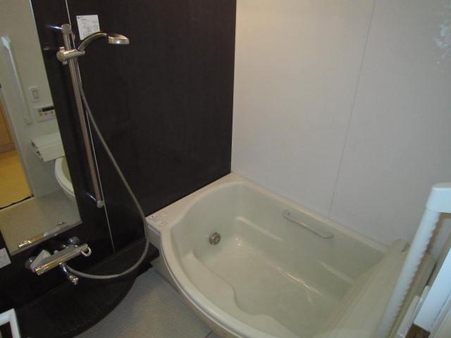 Bathroom. Indoor (11 May 2013) Shooting