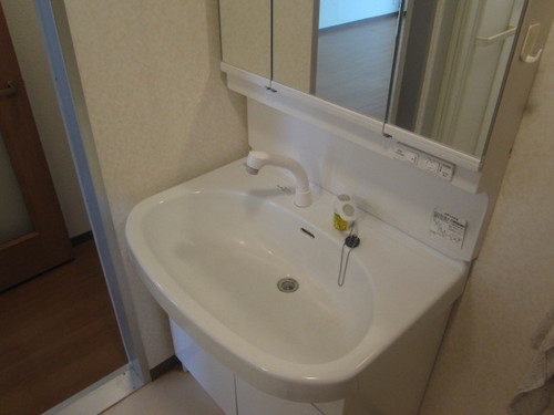 Washroom. Wash basin