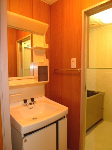 Washroom. Image (another in Room photo)