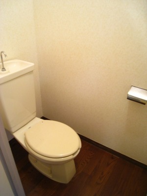 Toilet. Toilet with depth