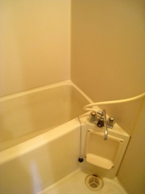 Bath. Tired of the day should be healing here