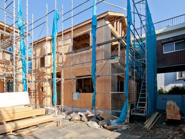 Local appearance photo. 2013 / 11 / 18 shooting 