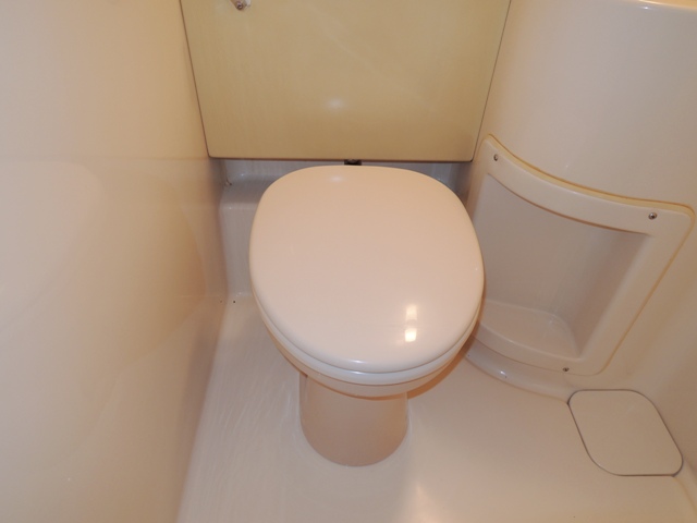 Toilet. Separate reference is a picture