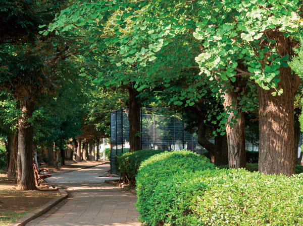 Surrounding environment. Nakaaoki park (4-minute walk ・ About 270m)