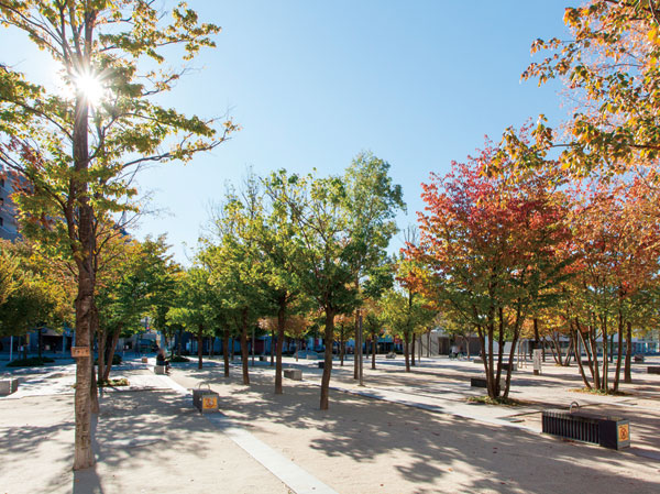 Surrounding environment. Namikimoto the town park (a 12-minute walk ・ About 920m)