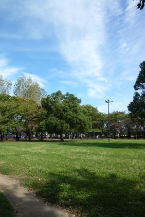 Mitsuwa park (820m) was wrapped in lush greenery, Park of calm atmosphere. Because it will also be well-equipped playground equipment, Enjoy with their children. Also dotted park in the surrounding local such as Tsuji park (700m) and Numata park (520m)