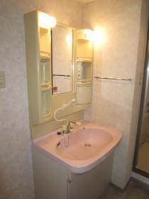 Washroom. Shower Dresser