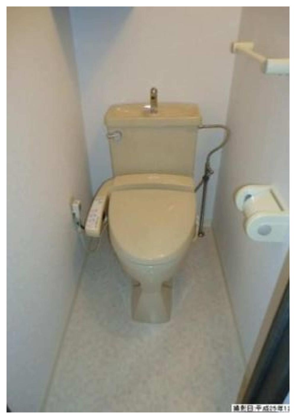 Toilet. Cushion floor re-covering