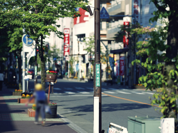 Surrounding environment. Pass shopping street (about 380m, A 5-minute walk)