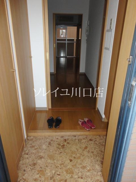 Entrance. Fashionable entrance