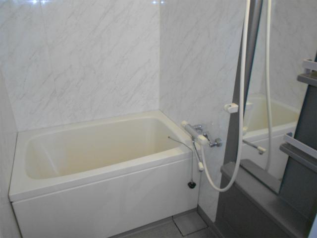 Bathroom. Bathroom (January 2014) Shooting