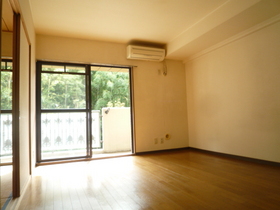 Living and room. South-facing living room