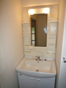 Washroom. Shower Dresser