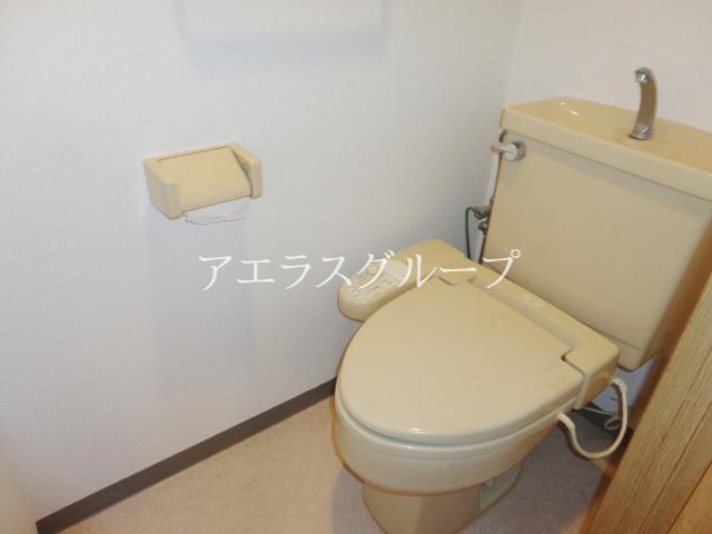 Toilet. Hot to space