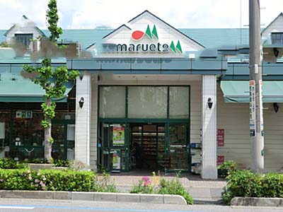 Supermarket. Maruetsu Shibatsukabara store up to (super) 385m