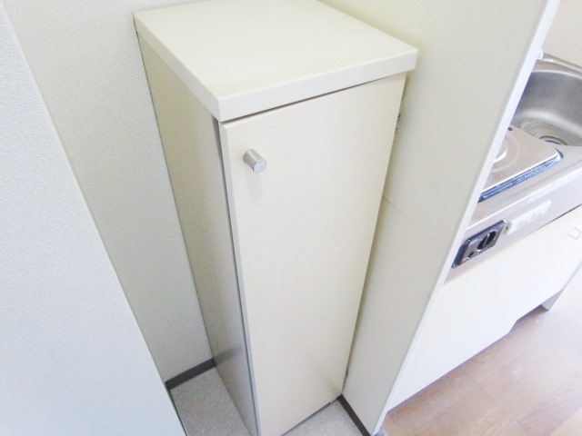 Entrance. It comes with shoes BOX. 