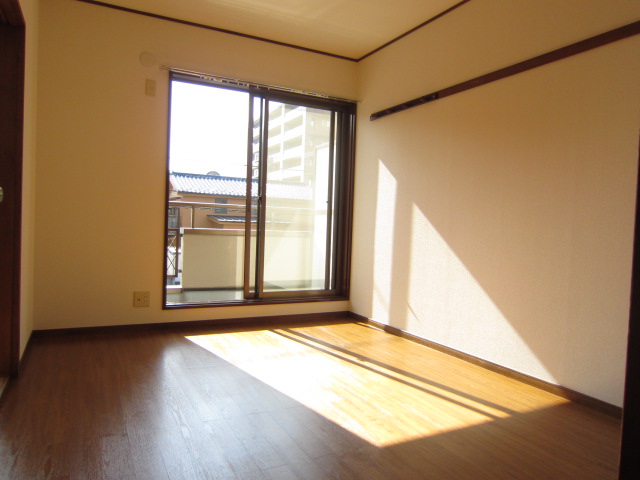 Living and room. South-facing bright room