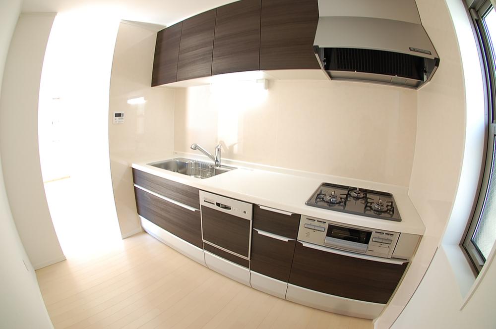 Kitchen. Dishwasher built-in system kitchen