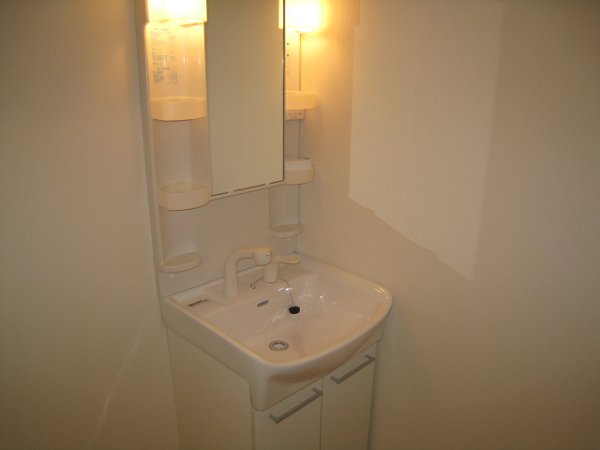 Washroom. Shampoo dresser