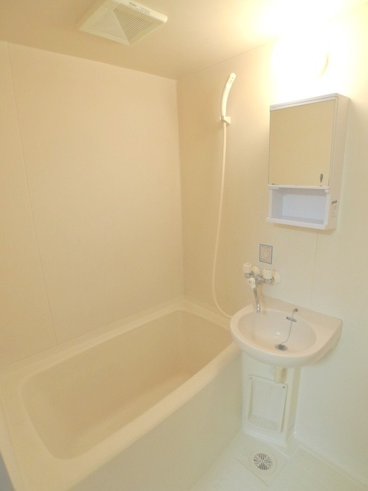 Bath. Cleaning Easy unit bus