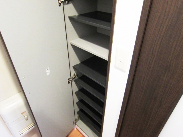 Entrance. New even shoes BOX. 