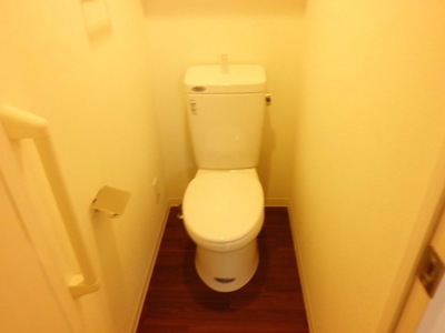 Toilet. Toilet