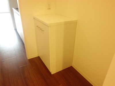 Entrance. Footwear box