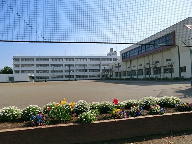 Other. Lay elementary school