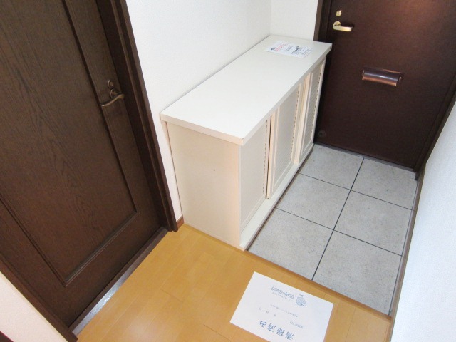 Entrance. Shoes BOX Installed