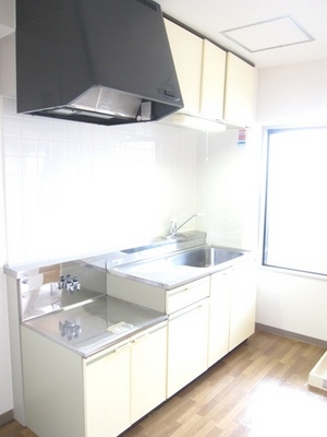 Kitchen. Economic city gas