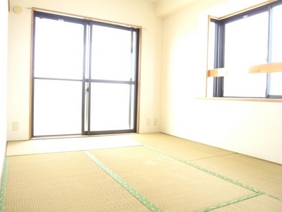 Living and room. Two-sided lighting of the bright rooms