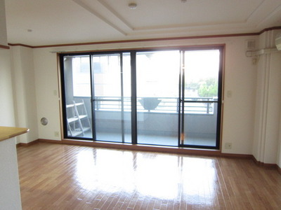 Living and room. Bright living room facing the balcony