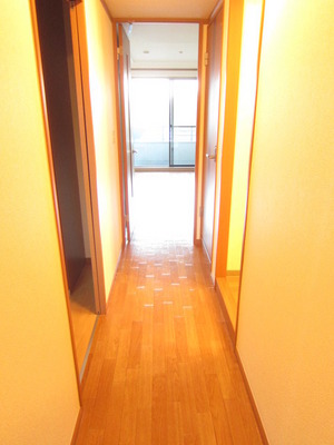 Entrance. There are entrance and the corridor