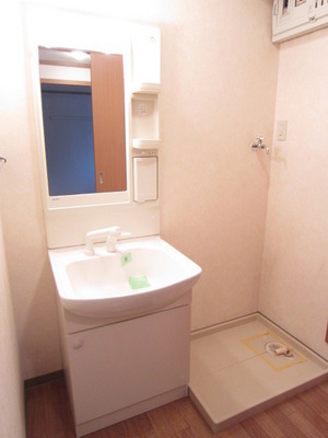 Washroom. Shampoo dresser with