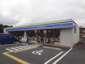 Convenience store. 600m until Lawson (convenience store)