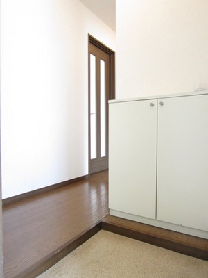 Entrance. There shoebox in the entrance