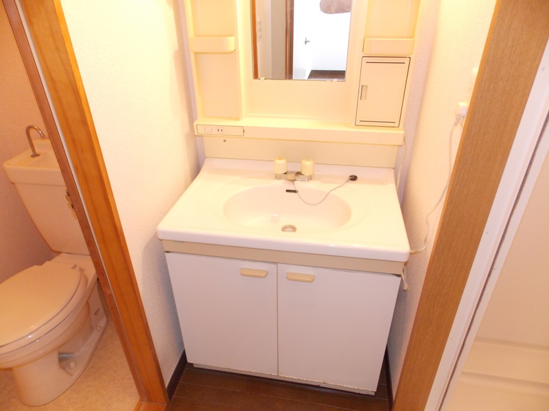 Washroom. Wash basin