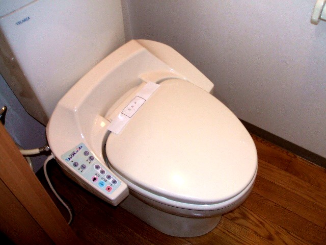 Toilet
