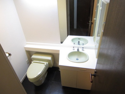 Toilet. Powder room with a large mirror