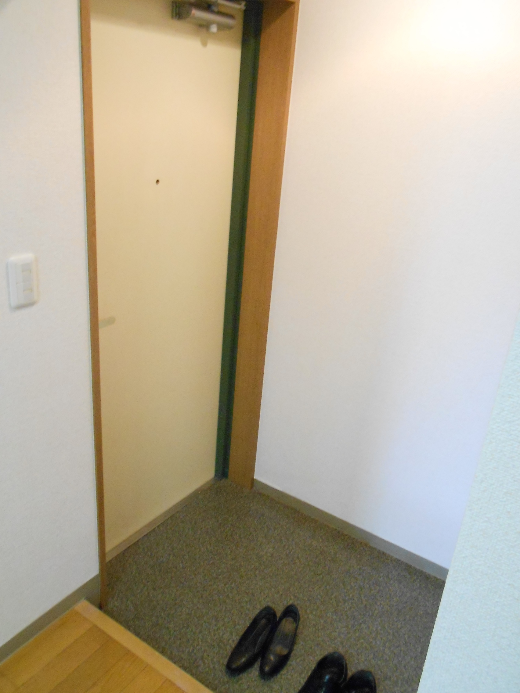 Entrance. Entrance space